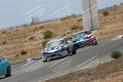 media/May-03-2025-Lucky Dog Racing (Sat) [[206de64b9d]]/Turn 6 (150pm-230pm)/